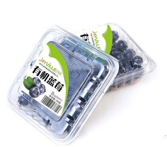 เครื่องติดฉลากด้านบนเครื่องติดฉลากกาวเครื่องเข้ารหัสเสริม